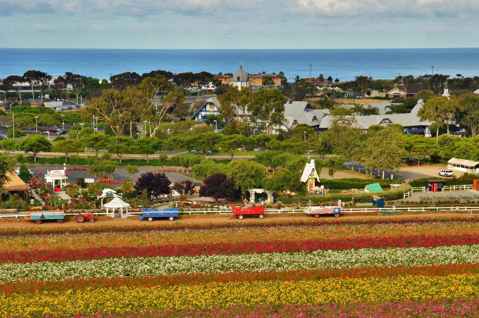Grand Pacific Palisades Resort Carlsbad Exterior photo