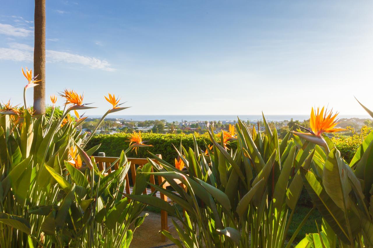 Grand Pacific Palisades Resort Carlsbad Exterior photo