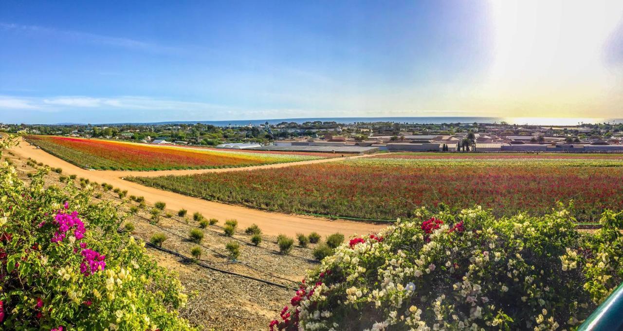 Grand Pacific Palisades Resort Carlsbad Exterior photo